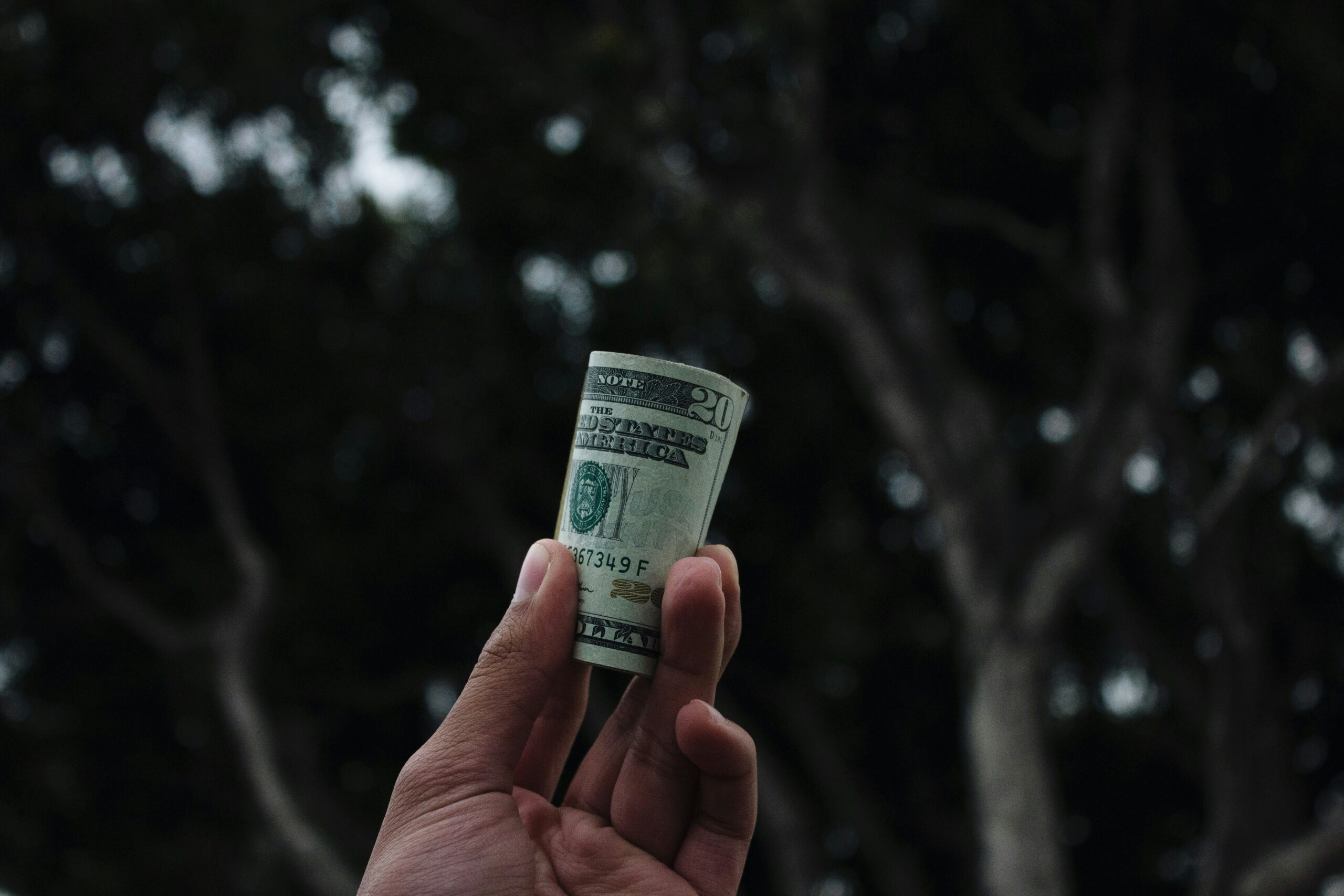 A hand holds a rolled-up twenty-dollar bill against a blurred background of dark, leafy trees.